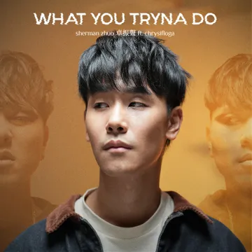 卓振声 (Sherman Zhuo)《WHAT YOU TRYNA DO》- 感受这场由谎言交织的爱情游戏